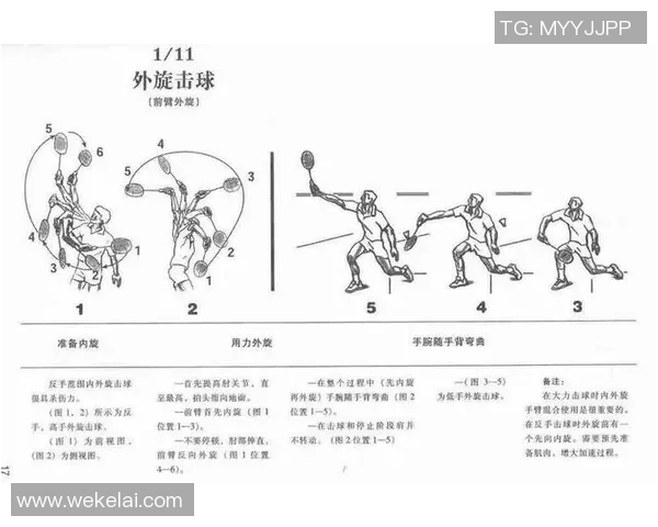 从零起步全面掌握羽毛球力量训练技巧与实用方法